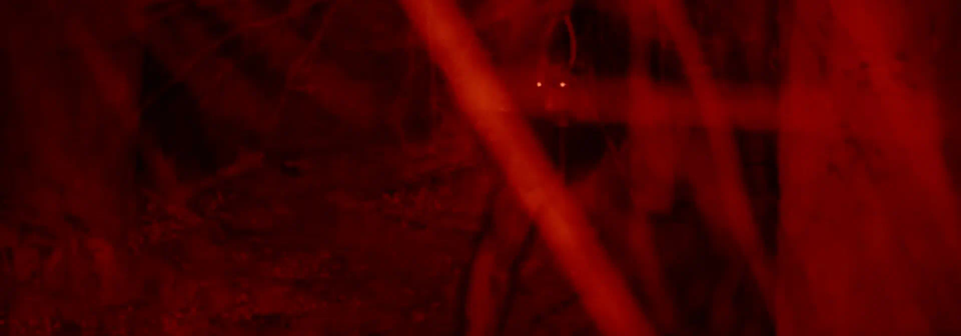 Evolución de infectados