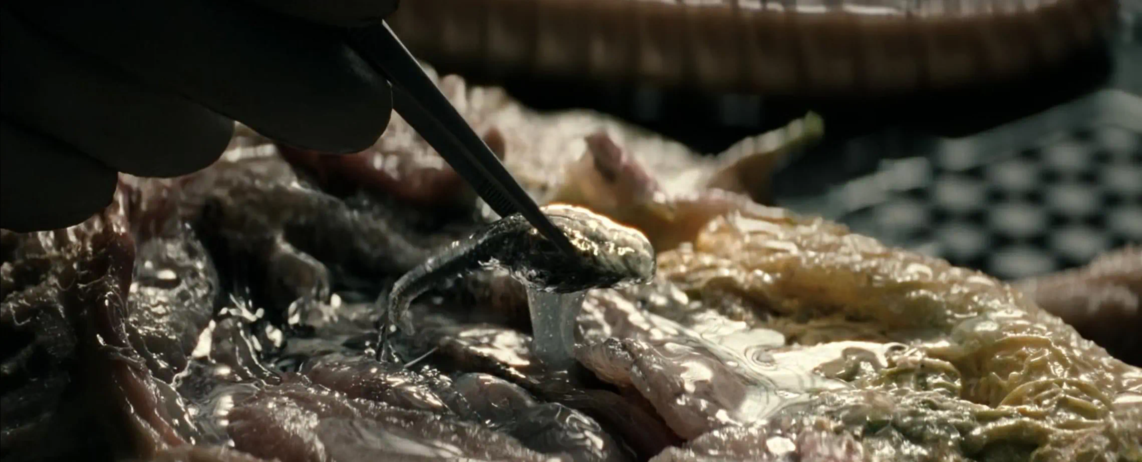 Alien Earth Capitulo 3 final explicado