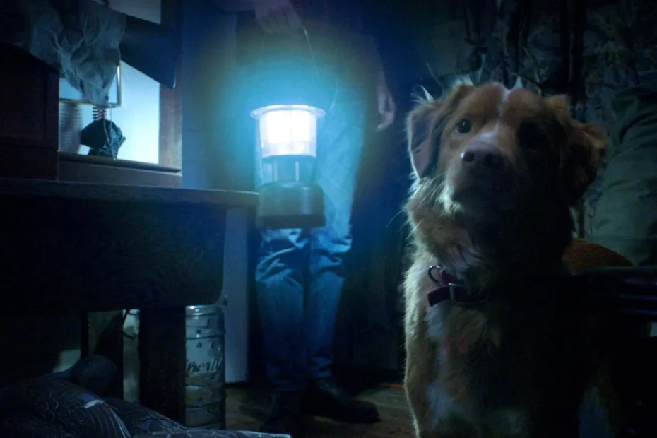 Good Boy primeras críticas