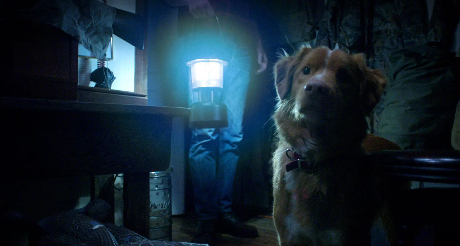 Good Boy primeras críticas