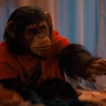 Análisis Primate 2026