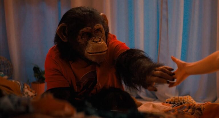 Análisis Primate 2026