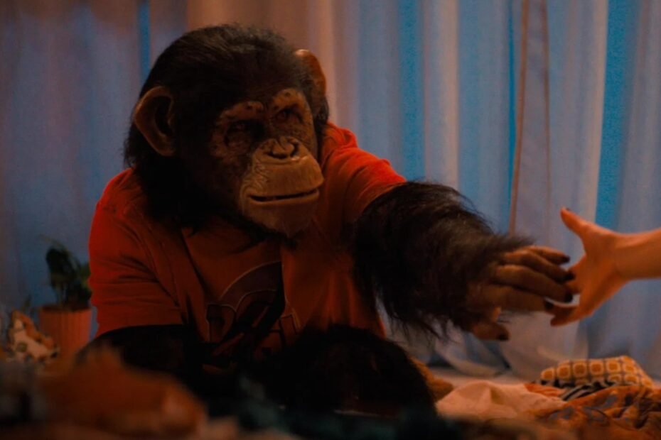 Análisis Primate 2026