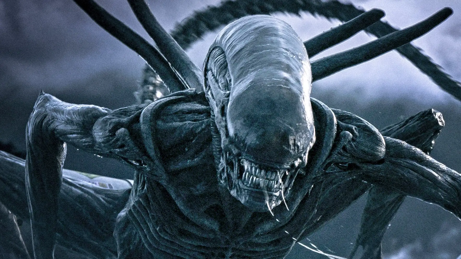 Alien Convenant tendrá secuela