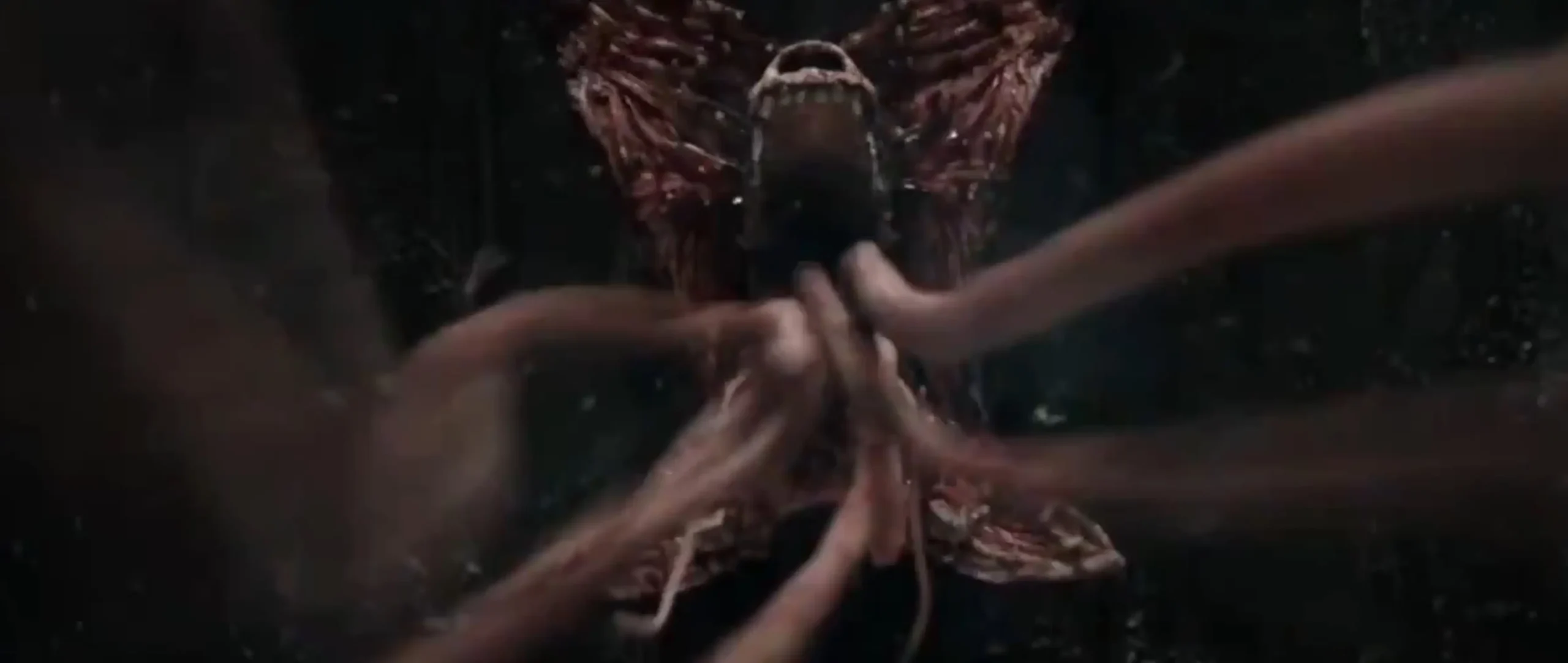 Perros Zombie en la película de Resident Evil